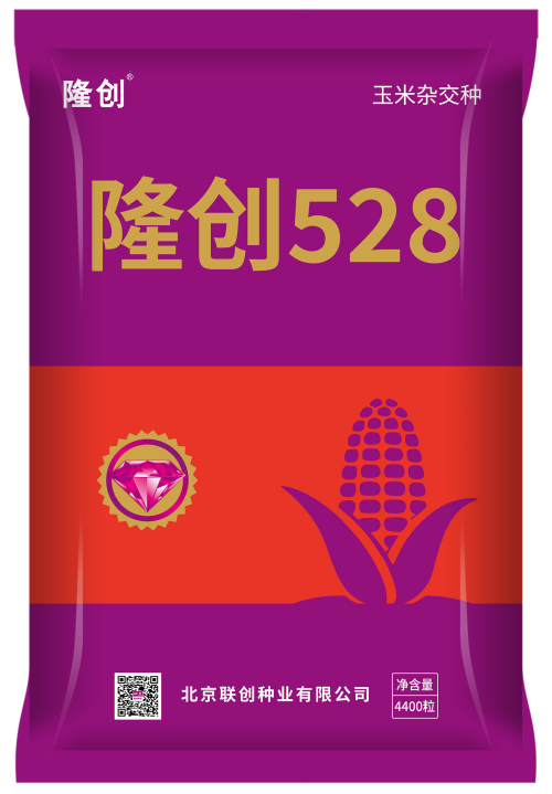 隆創528